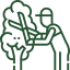 Professional Tree Services in Milford, MI 2 Trimming and Pruning