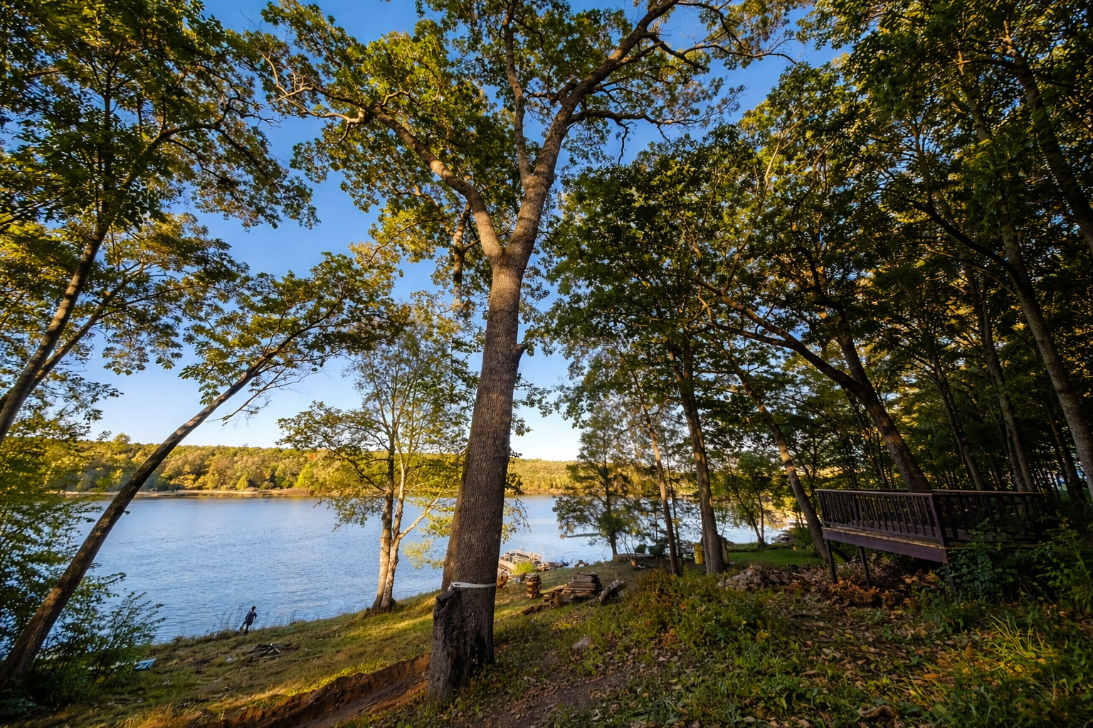 Local Tree Services in Commerce Township MI